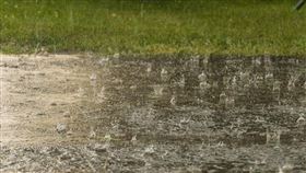 ▲下雨；恐龍（圖／翻攝自pixabay）