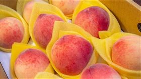 桃園媽媽桃展售5／11登場　造型金飾等你帶回家