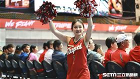 ▲T1季後賽，臺北戰神啦啦隊Taishin Wonders成員洗菜。（圖／記者劉彥池攝影）