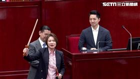 林延鳳送蔣萬安桃花木劍。