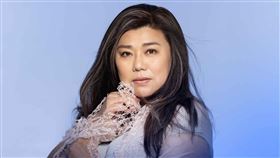 林美秀出道37年跨足歌壇推新專輯。（圖／繁星浩月 提供）