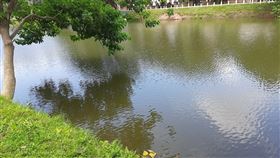 池塘，(示意圖／PIXABAY)