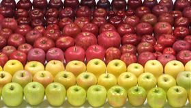 青森蘋果 (翻攝自臉書)
