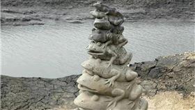 日月潭9蛙全露（圖／翻攝自臉書）