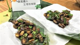 （圖／林業及自然保育署提供）