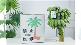 中國社交平台掀起在辦公室種香蕉的新潮流。（圖／翻攝植物人史軍的微博）
