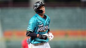 ▲台鋼雄鷹紀慶然11日交手味全龍敲回一軍生涯第一分打點。（圖／台鋼雄鷹提供）