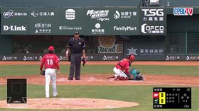 台鋼雄鷹杜家明被觸身球擊中頭部，當下倒地不起。（圖／擷取自CPBL TV）