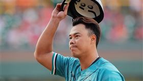 台鋼雄鷹藍寅倫9局下2出局上場代打敲出關鍵追平安。（圖／台鋼雄鷹提供）