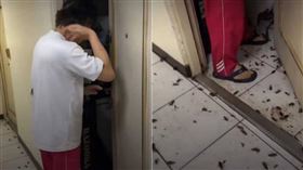 桃園市蘆竹區一戶民宅爬滿蟑螂，住戶一開門蟑螂瞬間噴出，甚至掉在該戶身上，因此被網友戲稱為「蟑螂人」。（圖／翻攝自內壢大小事臉書）