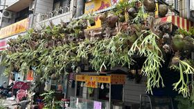 （圖／翻攝自「路上觀察學院」臉書）