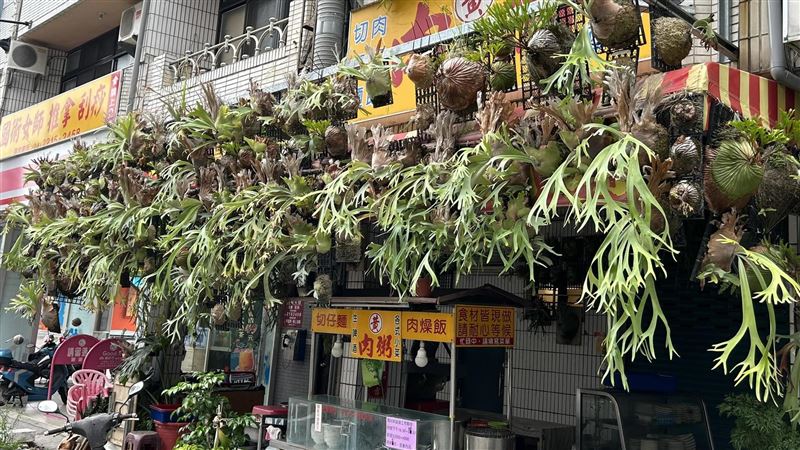 小吃店屋簷一堆草！他路過驚喊「有錢人」