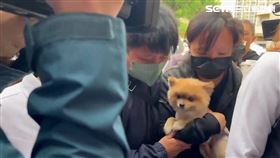 新北三重三代滅門血案今解剖，劉婦大女兒帶著母親愛犬現身。（圖／翻攝畫面）