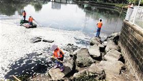 打撈屍體的清潔人員指出，7個小時內共撈了8噸的魚屍。（圖／翻攝自中新網海南）