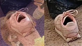 楊丞琳上陸粽選秀節目飆高音翻車，被做成球鞋梗圖。（圖／翻攝Dcard）