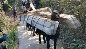 （圖／翻攝自搜狐網）