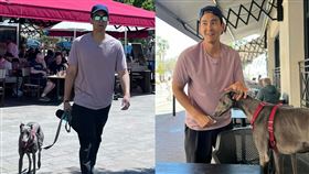 彭于晏在坎城遛狗。（圖／翻攝彭于晏工作室）