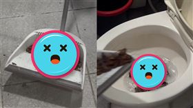 蟑螂多到爆！她用「1物」滅全族　照片曝光網嚇壞：多到可以炒菜（圖／翻攝自「xu_yuting0302」Threads）