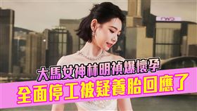 大馬女神林明禎。（圖／翻攝林明禎IG）