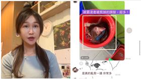 桃園,高中,霸凌,轉學,提告（圖／翻攝畫面）