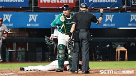 ▲樂天桃猿二壘手馬傑森在本壘遭台鋼雄鷹捕手張肇元觸殺出局。（圖／記者劉彥池攝影）