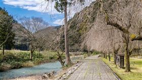 【五星旅遊團出包2】