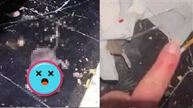 男子在KTV包廂內被老鼠咬傷。（圖／翻攝微博）