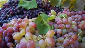 葡萄（圖／翻攝自Pixabay）