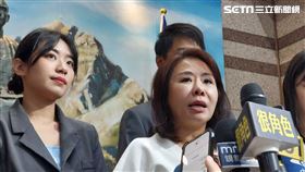 國民黨文傳會主委李彥秀。(圖/記者陳怡潔攝影)