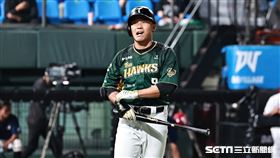 ▲台鋼雄鷹左外野手王柏融遭到觸身球保送。（圖／記者劉彥池攝影）