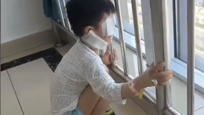 3歲男童被狗咬死！媽媽找不到兇手崩潰