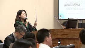 文 昭燮林北芯1200