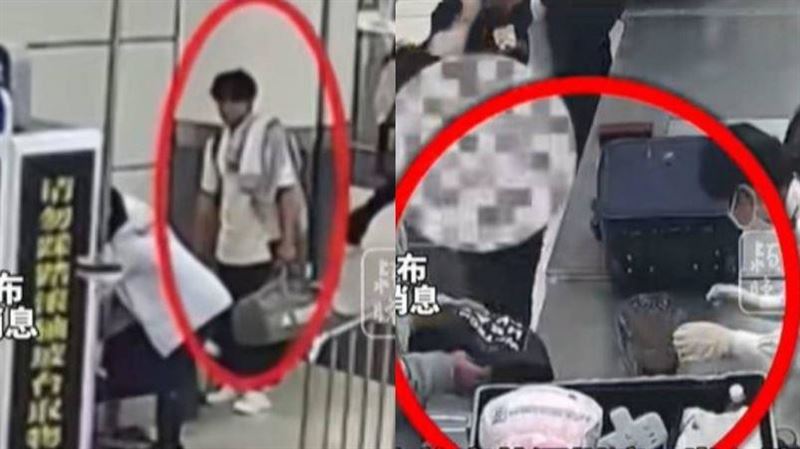 海關檢查行李發現異常　打開驚見鱷魚頭