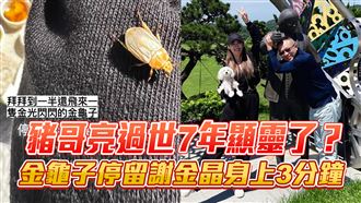 豬哥亮過世7年顯靈了？謝金晶驚見1幕感動