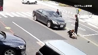 又見行人地獄！夫妻走斑馬線遭轎車撞飛