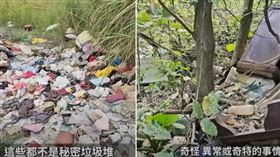 ▲美國YouTuber小飛說，台灣山林一堆垃圾。（圖／翻攝自YouTube頻道Xiaofei小飛，下同）