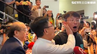 黃國昌「咆哮開嗆」遭掌摑　綠委怒吼1句