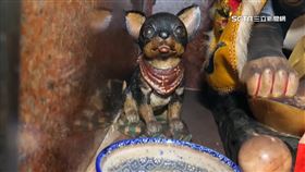 感念顧廟恩情！虎爺公龕旁供奉「吉娃娃」　信眾直呼很可愛