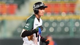 ▲台鋼雄鷹林家鋐單場3安猛打賞。（圖／台鋼雄鷹提供）