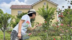 ▲吳淡如。（圖／翻攝自吳淡如臉書）