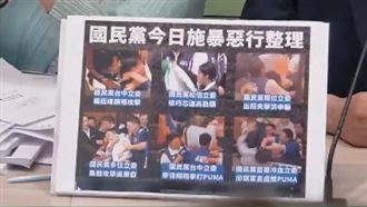 一圖秒看「施暴藍委」！綠委傷勢全曝光