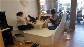 新北市動保處日前接獲民眾通報，板橋某寵物餐廳私自繁殖貓咪及不當飼養，動保員發現店家未申請動物展演，卻利用貓咪與客人互動營業，且販售不明分包裝飼料以及未施打狂犬病疫苗等，將依法裁罰業者11萬元。業者受調查時，也承認有2隻貓咪在飼養期間因病死亡。