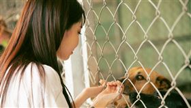 陳芳語（Kimberley）日前率同門師弟妹，前往位於台中的「月圓流浪動物照護協會」拍攝新歌〈Good on You〉MV。（圖／華風數位提供）