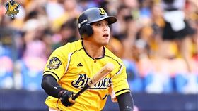 ▲中信兄弟陳子豪剛回到一軍，就炸裂超大號陽春砲。（圖／中信兄弟提供）