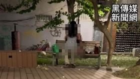 情侶在台北一公園激戰。（圖／翻攝自「黑色豪門企業」）