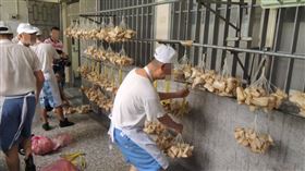 ▲苗栗看守所的收容人們每到端午節前就開始張羅配料，包出料多味美的招牌客家粽。（圖／CTWANT）