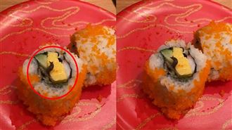 噁！壽司驚見「活體蛞蝓」衛生局要查了