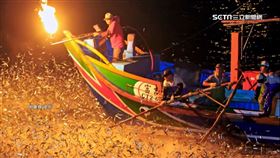 保存傳統漁法推觀光　金山牽罟+蹦火仔吸睛