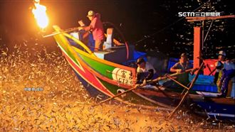 全球獨有！金山傳統漁法牽罟+蹦火仔吸睛