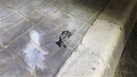 台中人行道疑出現爆裂物！警鎖定1車追查